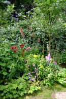 Garden Border